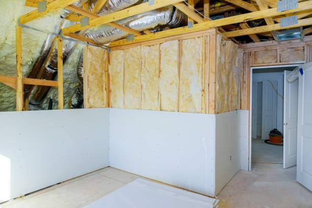 Best Eco-Friendly Insulation in Calico Rock, AR
