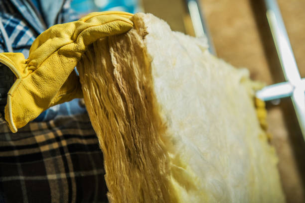 Best Geographic-Specific Insulation Services in Calico Rock, AR