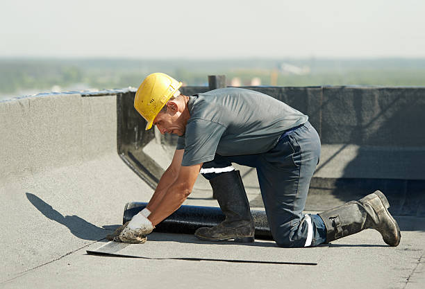 Best Insulation Maintenance and Repair in Calico Rock, AR